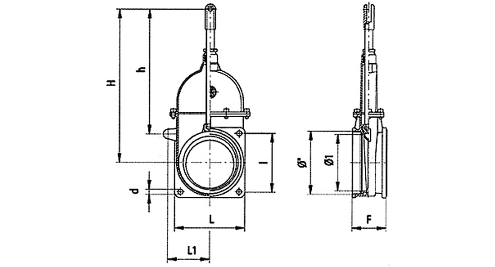 Threaded/flanged hydraulic plunger gate valve.